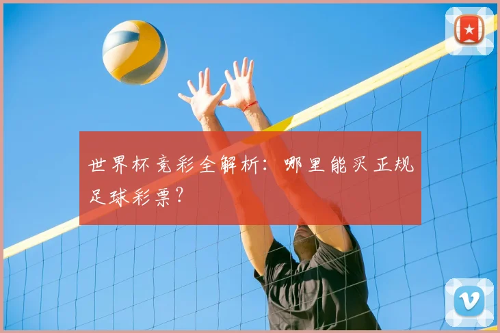 世界杯竞彩全解析：哪里能买正规足球彩票？