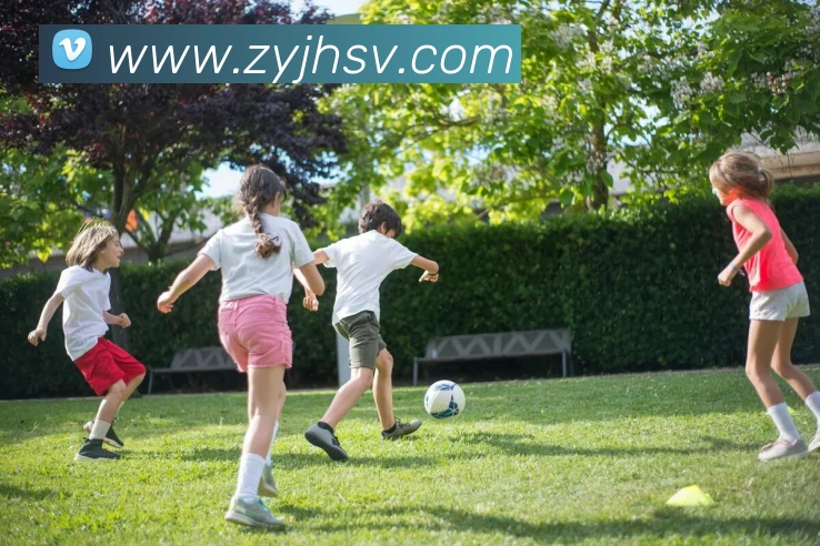 世界杯官方入口全站App